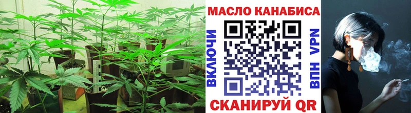 ТГК THC oil  кракен   Ногинск 