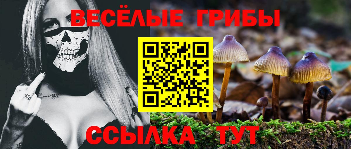 Галлюциногенные грибы Cubensis Ногинск