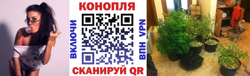 Бошки Шишки Bruce Banner Ногинск